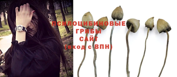 синтетический гашиш Гусев