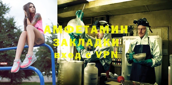 стаф Горняк