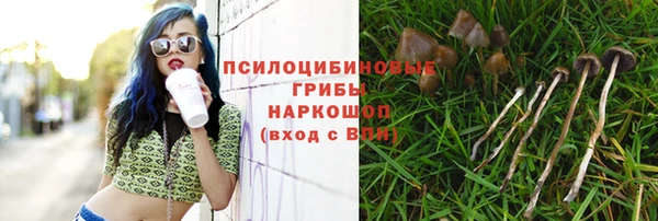 мефедрон мука Гусь-Хрустальный