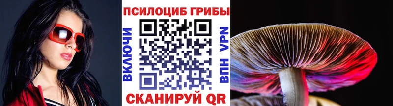 Купить  Лысково  Галлюциногенные грибы Psilocybine cubensis 